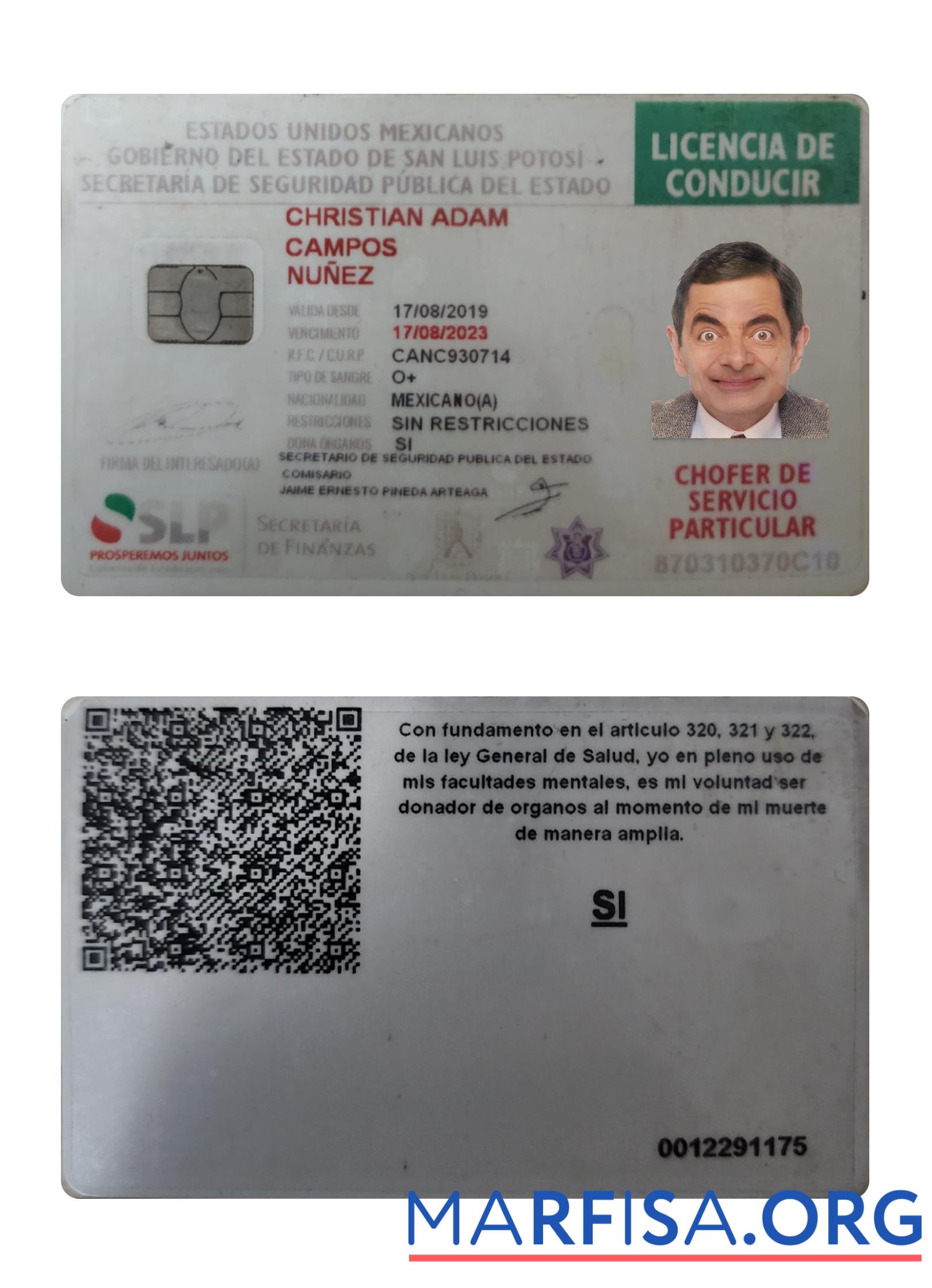 Downloadable Mexico driving license 2019 present download for verification